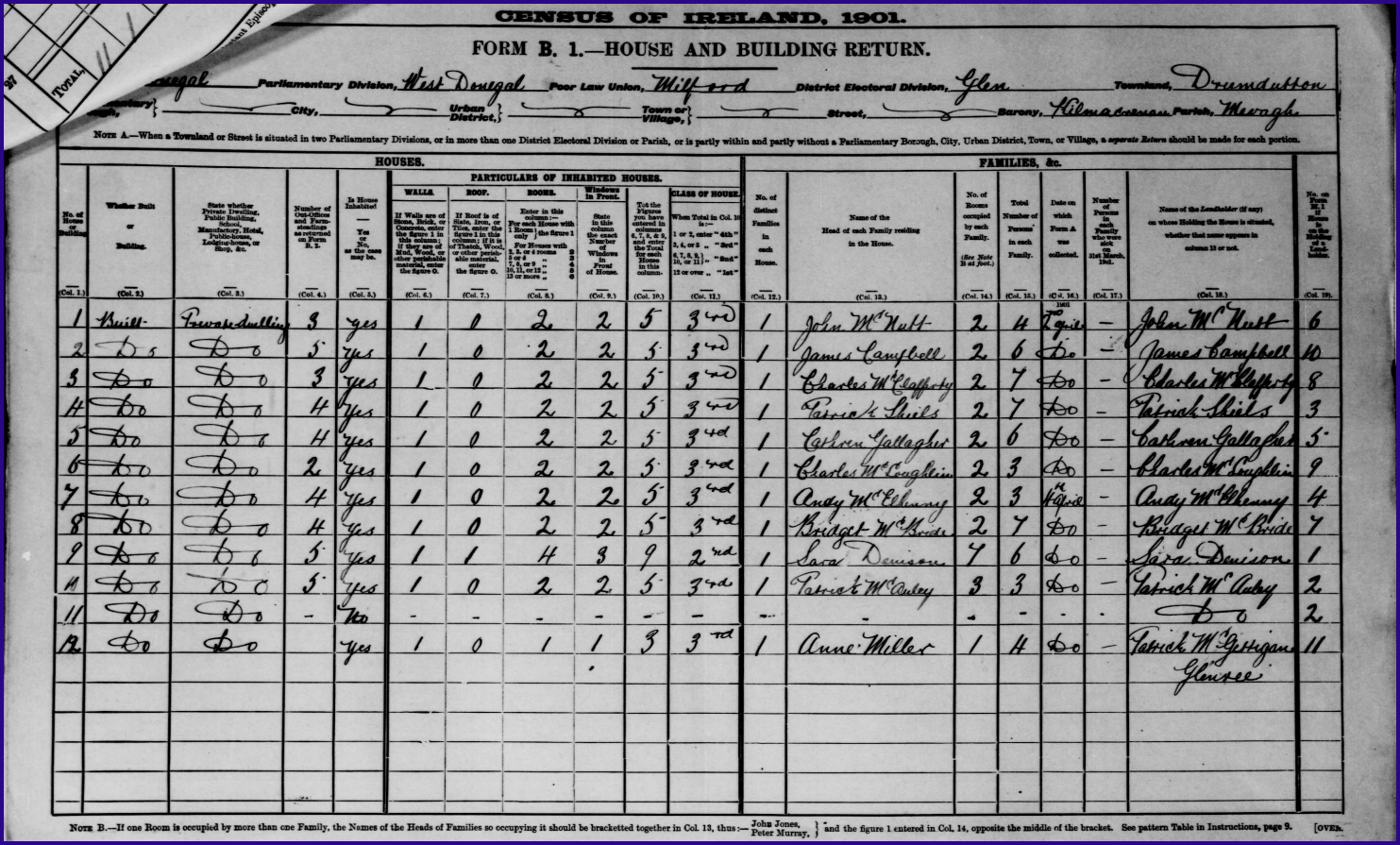 Form B.1. House & Buildings Return, for Drumdutton, Census 1901